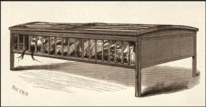 Restraining Bed - Crib - Bedlam